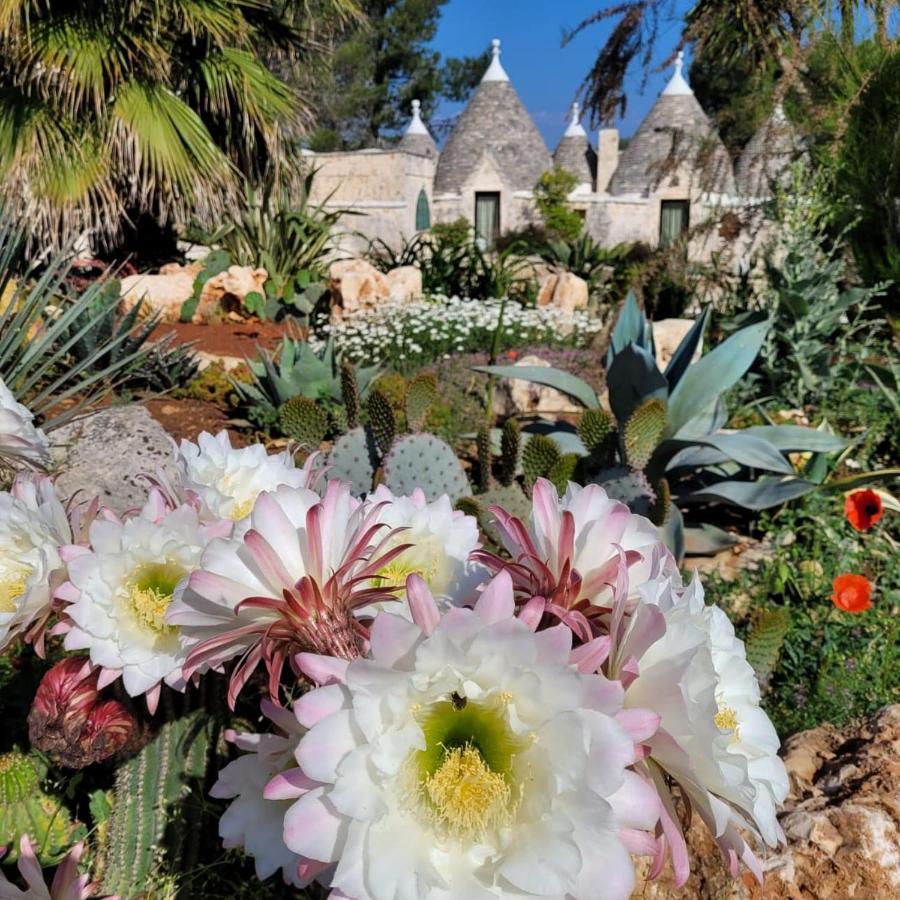 Villa Trullo Bosco Libero Ostuni Extérieur photo