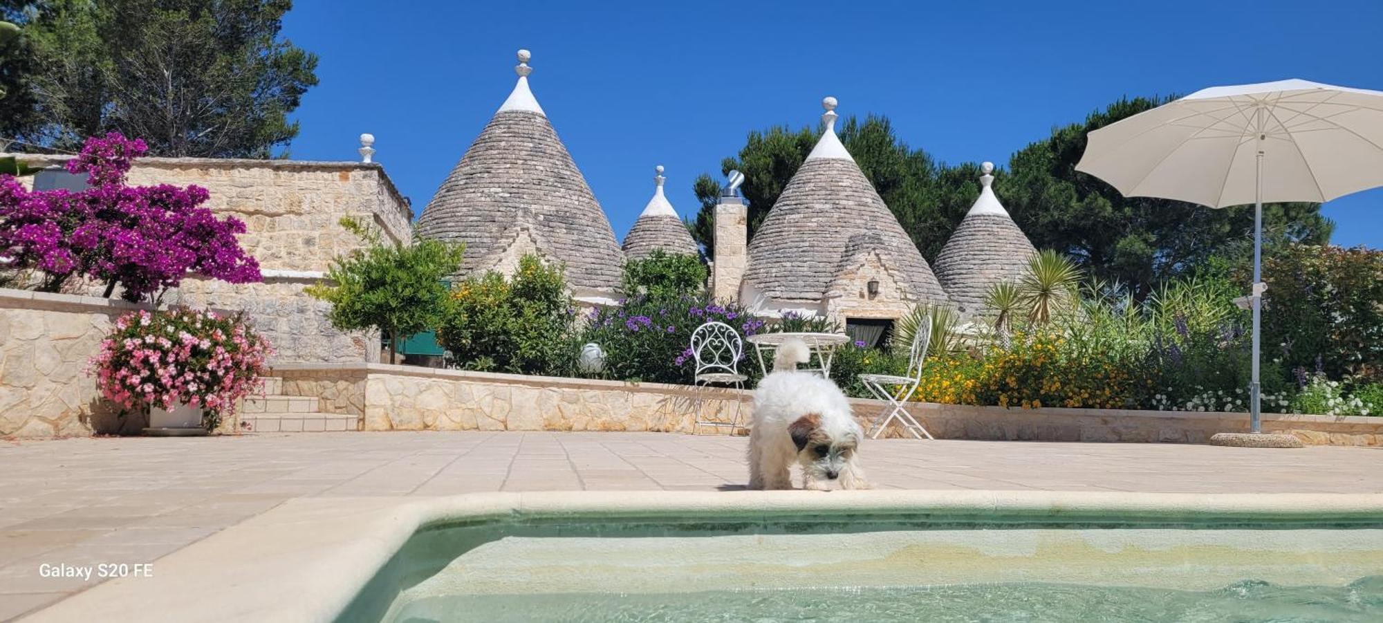 Villa Trullo Bosco Libero Ostuni Extérieur photo