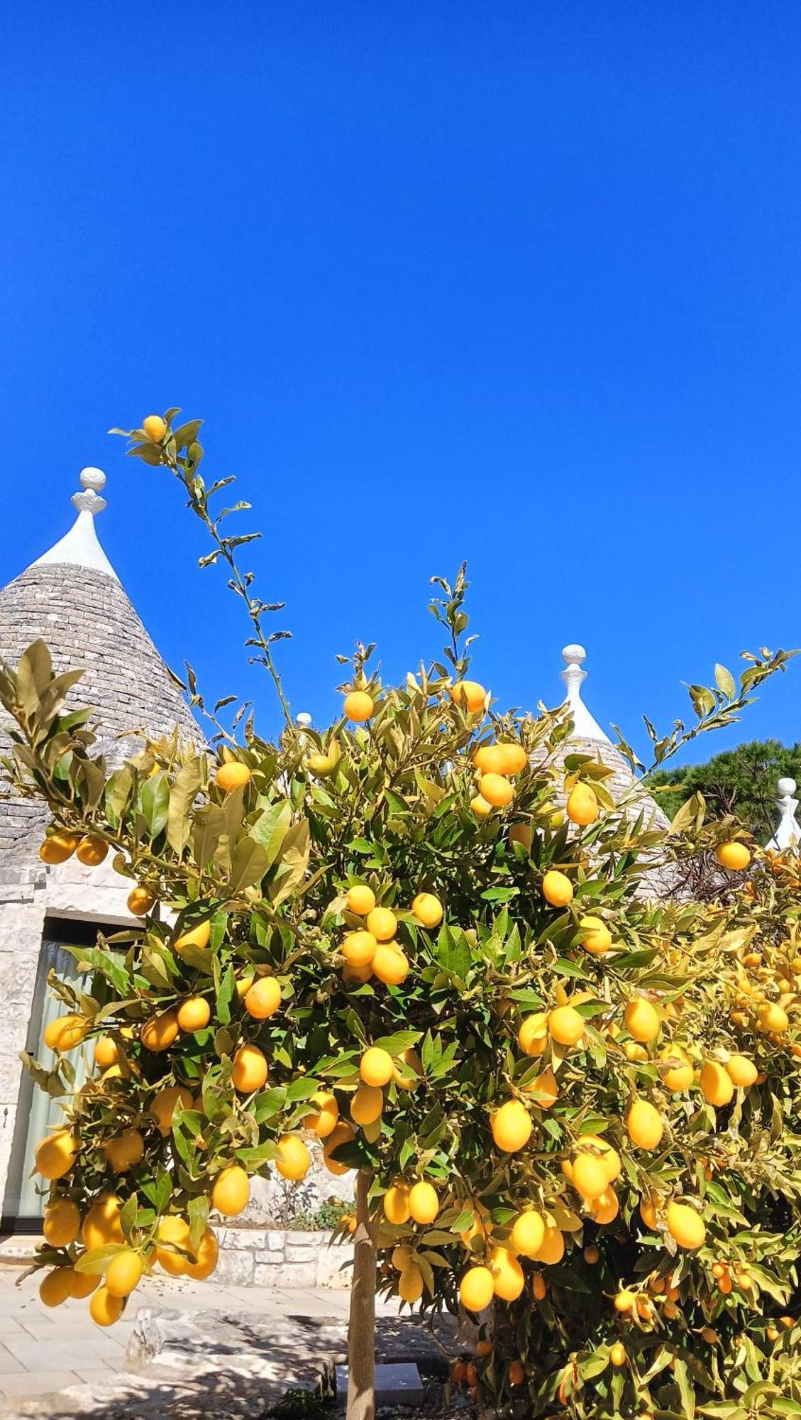 Villa Trullo Bosco Libero Ostuni Extérieur photo