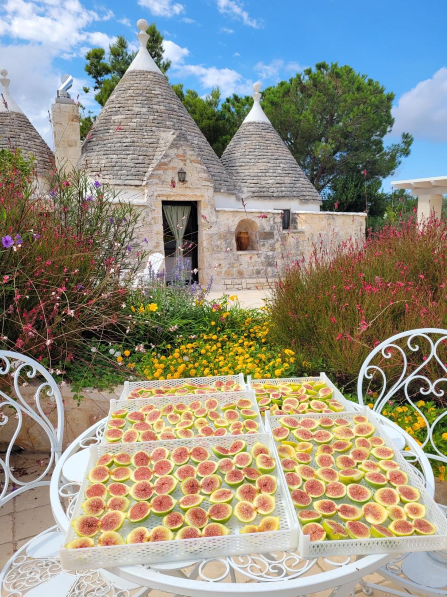 Villa Trullo Bosco Libero Ostuni Extérieur photo