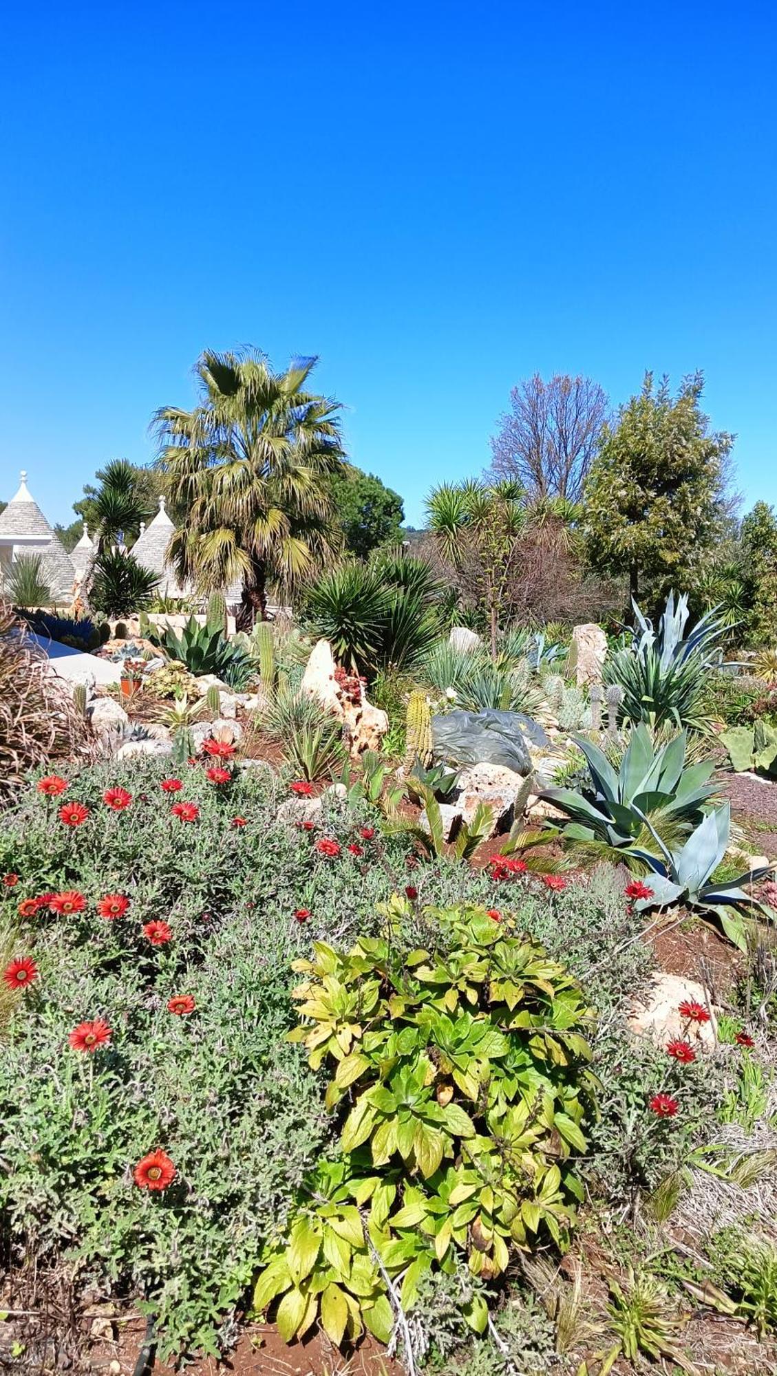 Villa Trullo Bosco Libero Ostuni Extérieur photo